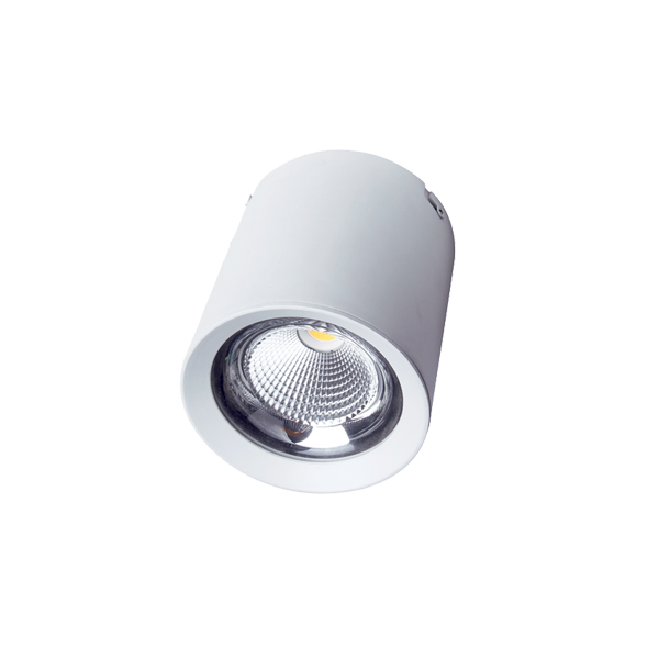 FL-LED 30W/3000K White  CUPSPOT Round  3000Lm 170*185мм - подвесной и накладной светодиодный светильник круглый FOTON LIGHTING